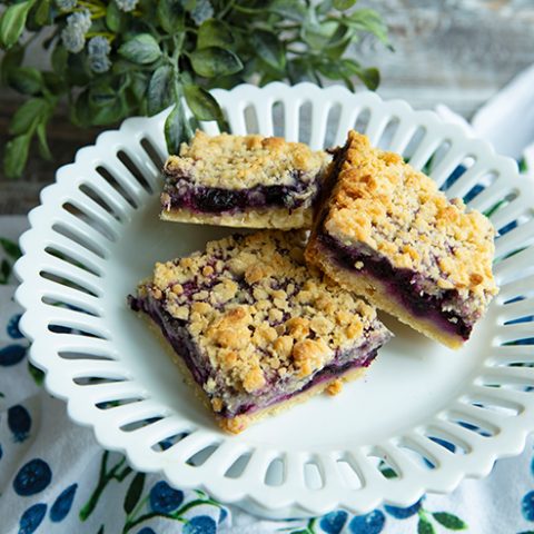 Blueberry Crumb Bars