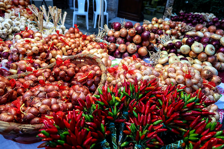 Friday Photos From Umbria ~ September 6th, 2019