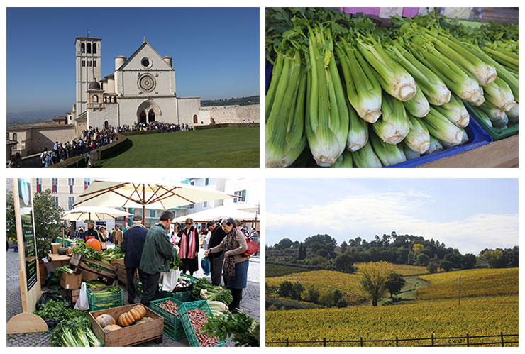 Friday Photos From Umbria ~ November 8th, 2019