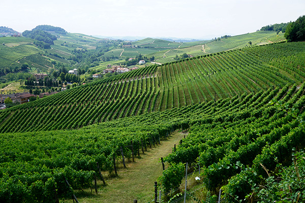 Friday Photos ~ Piemonte 2016