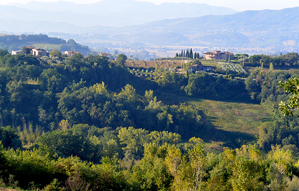 Friday Photos ~ October 7th, 2016