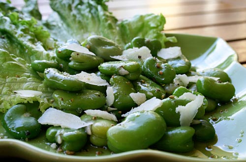 Fava Beans With Pecorino Cheese