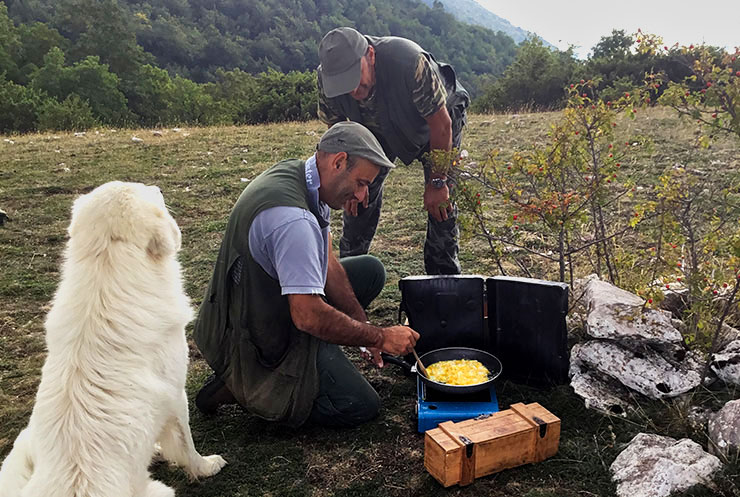 Friday Photos ~ September 30th, 2019