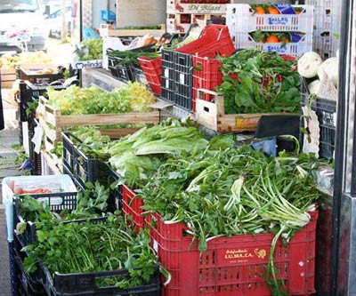 Winter in Umbria ~ Week 3