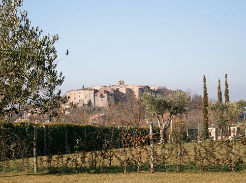 Winter in Umbria ~ Week 1