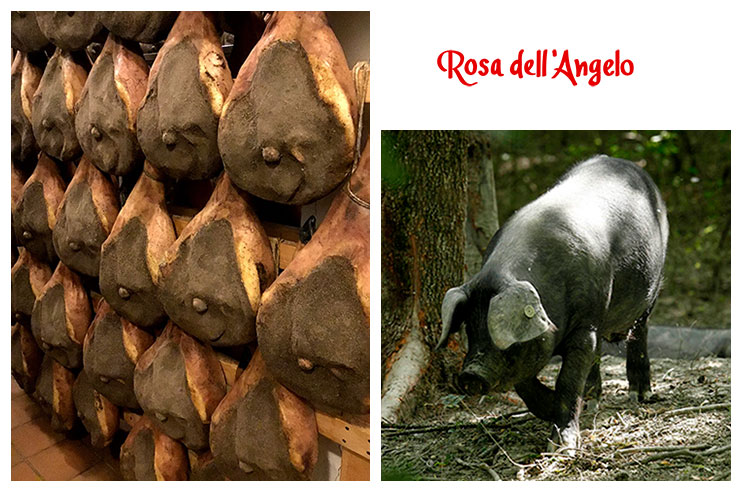 Featured Product ~ Prosciutto di Parma ~ Rosa dell’Angelo Tour