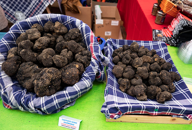 Friday Photos From Umbria ~ November 4th, 2018